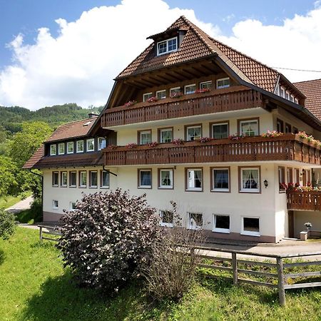Danielenhof Apartment Freiamt ภายนอก รูปภาพ
