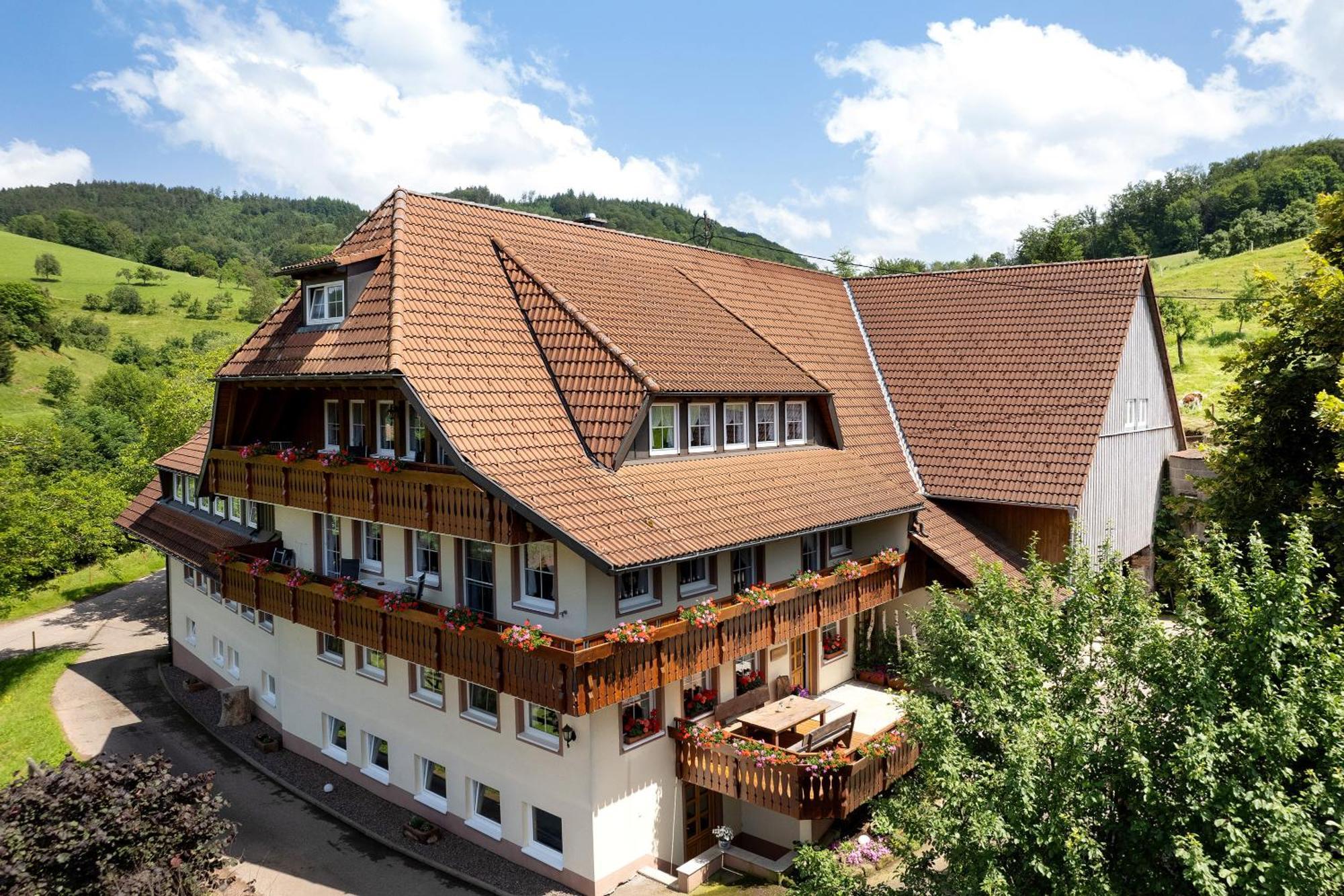 Danielenhof Apartment Freiamt ภายนอก รูปภาพ