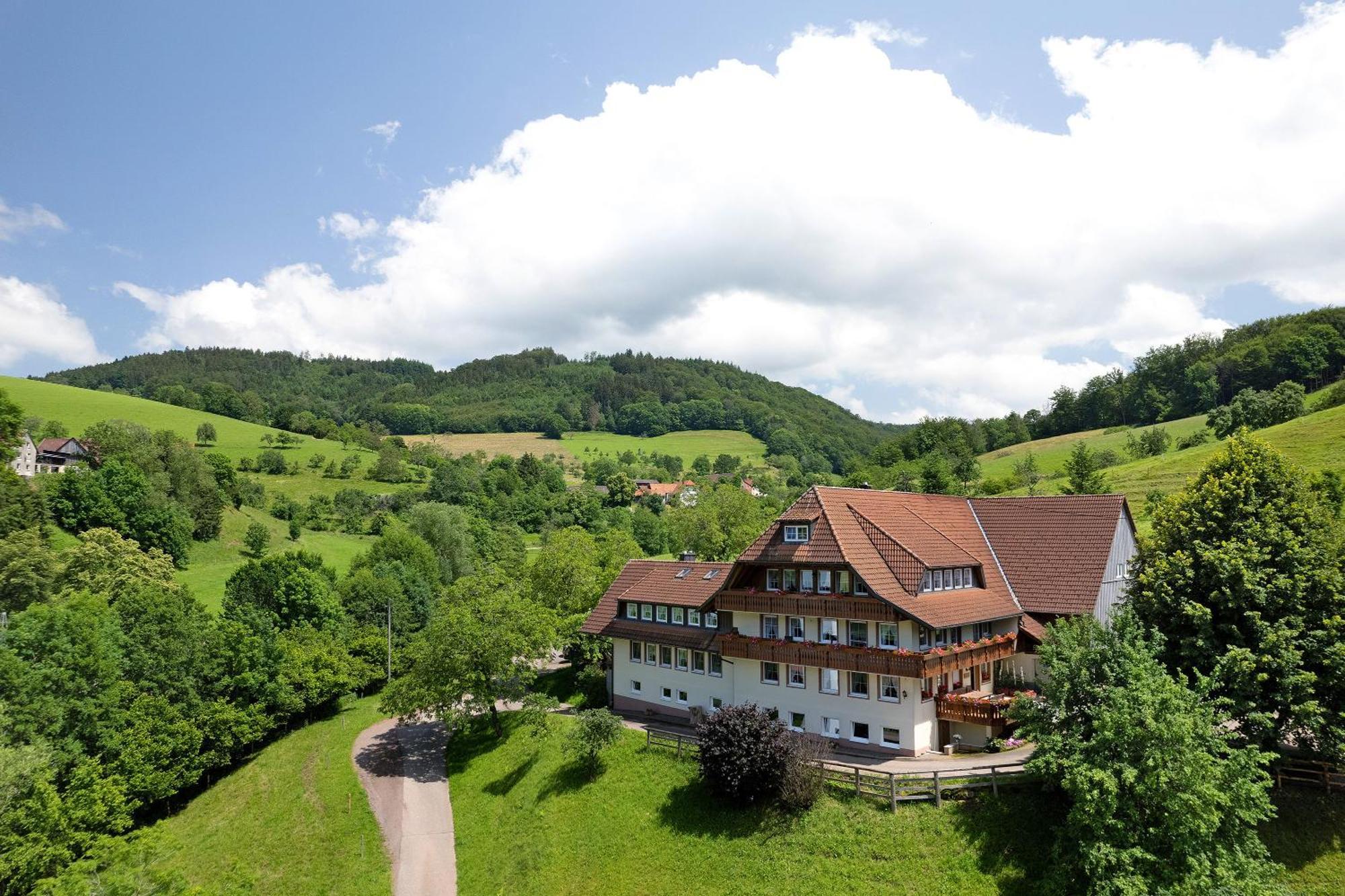Danielenhof Apartment Freiamt ภายนอก รูปภาพ