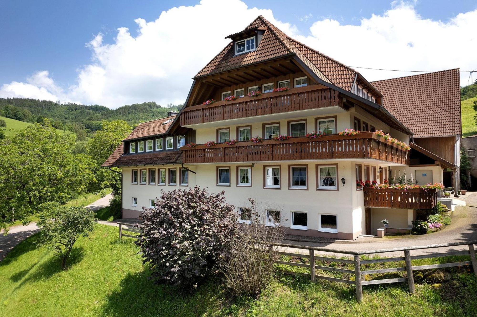 Danielenhof Apartment Freiamt ภายนอก รูปภาพ